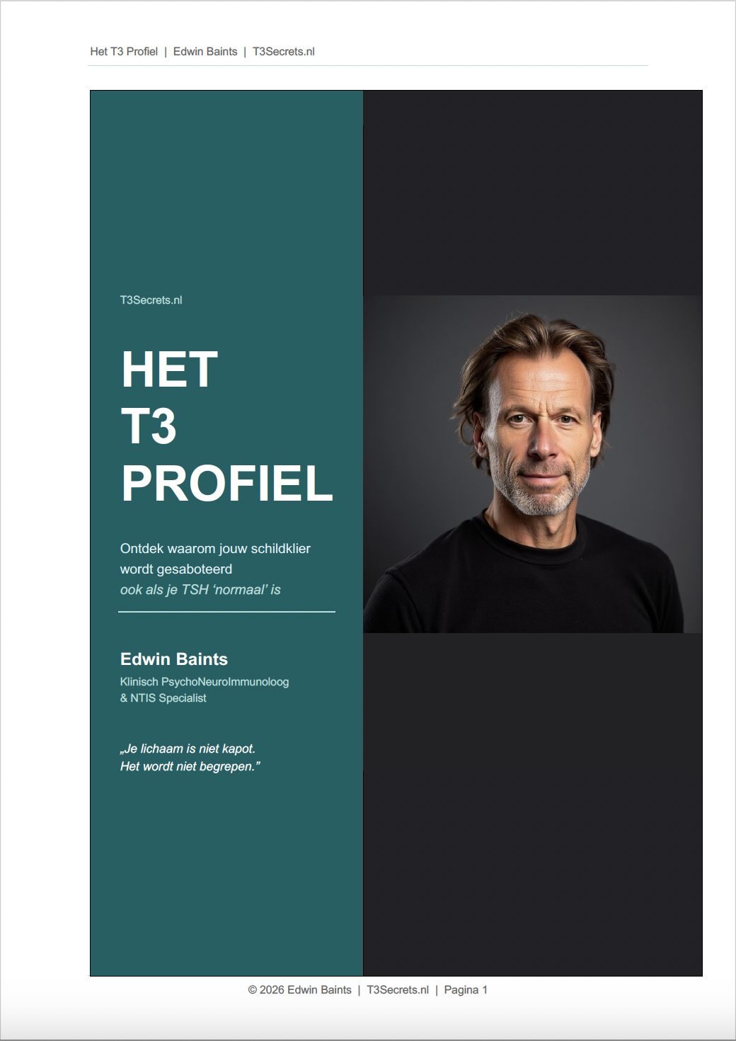 Het T3 Profiel, gratis gids over NTIS, T3 en rT3