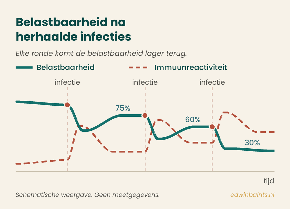 Schematische weergave: na elke infectie komt de belastbaarheid lager terug terwijl de immuunreactiviteit hoger blijft staan
