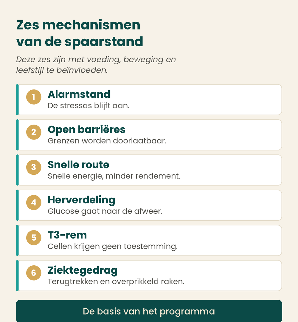 Zes mechanismen van de spaarstand die dit programma behandelt: alarmstand, open barrieres, snelle route, herverdeling, T3-rem en ziektegedrag